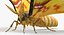 In Ordnung gebrachte Flying Insects Collection 2 für Maya