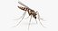In Ordnung gebrachte Flying Insects Collection 2 für Maya