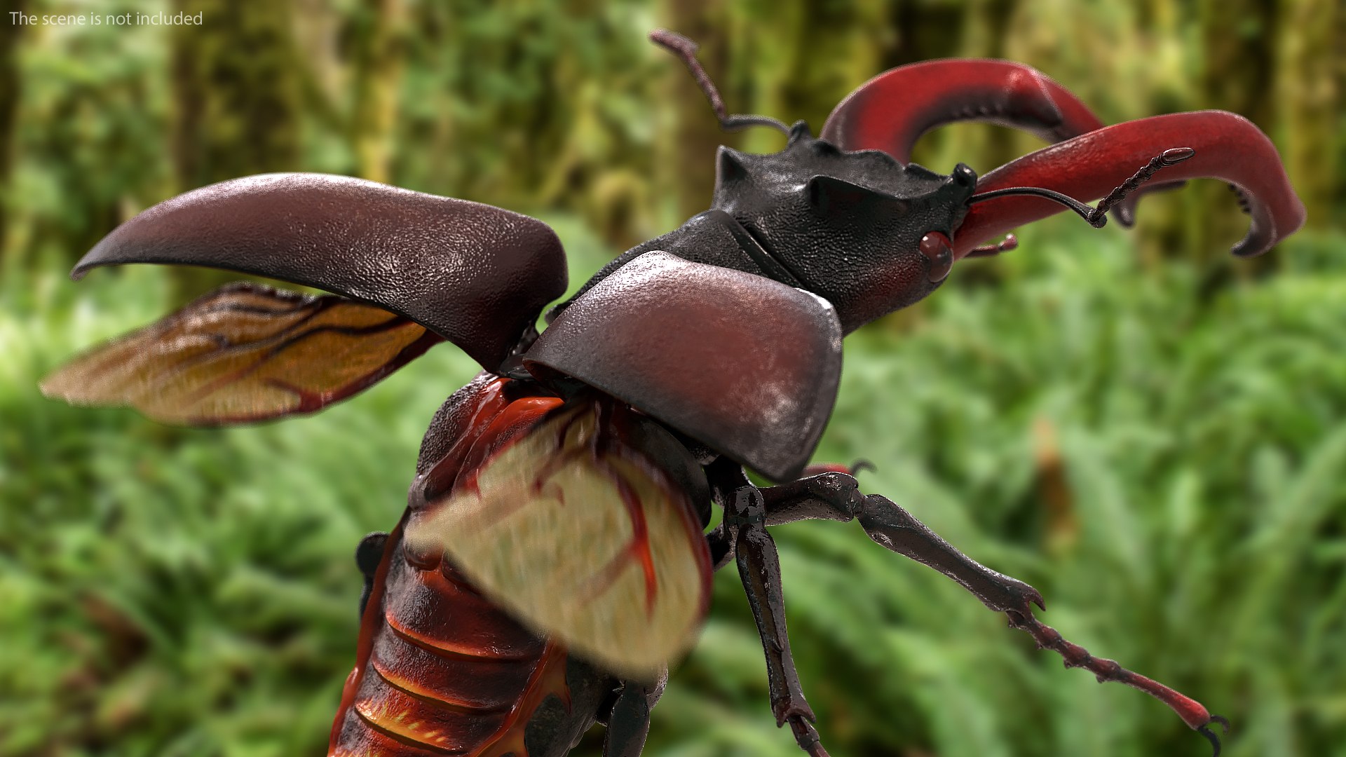 rigged flying insects 2 model https://p.turbosquid.com/ts-thumb/CQ/JOiv0L/sxTZHjFA/riggedflyinginsectscollection2c4dmodel016/jpg/1603705632/1920x1080/fit_q87/18f1b5f8dadb392f87e54d8ec8830a04f06d3410/riggedflyinginsectscollection2c4dmodel016.jpg