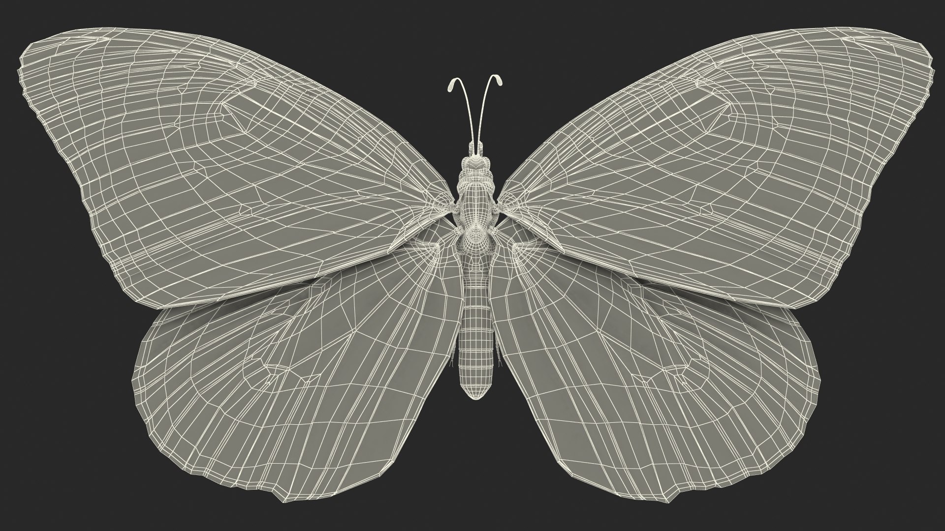 rigged flying insects 2 model https://p.turbosquid.com/ts-thumb/CQ/JOiv0L/ud4jSnX6/riggedflyinginsectscollection2c4dmodel076/jpg/1603705634/1920x1080/fit_q87/790eefc7f6b64e31293fc80b914c18aad628a8de/riggedflyinginsectscollection2c4dmodel076.jpg