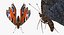 In Ordnung gebrachte Flying Insects Collection 2 für Maya