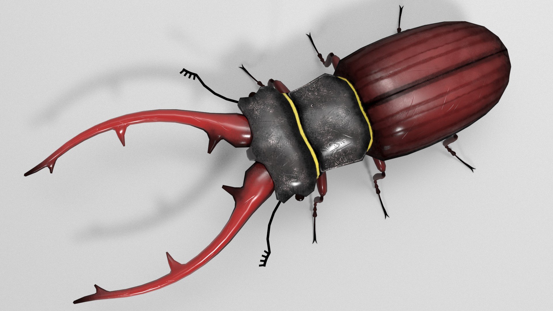 Insect - LUCANIDAE Lucanus cervus cervus - Ukraine - Giant