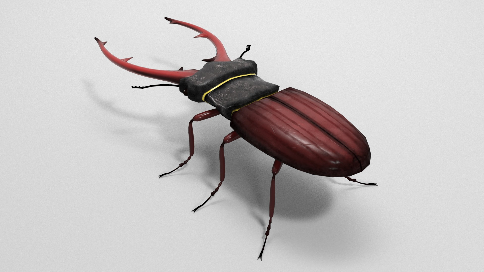 Stag Beetle 3D Model - TurboSquid 1812588