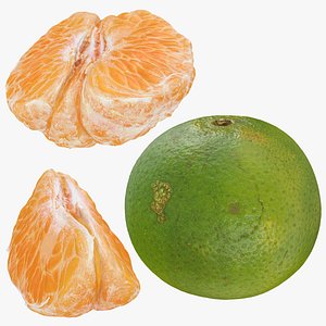 Green Mandarin Collection model