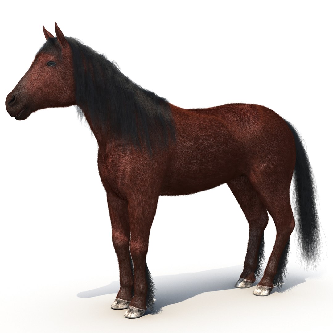 Horse with Fur 2 3D Model 3D model preview