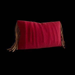 Hairy Pillow 3D