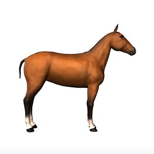 3D model Horse Brown
