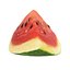 Sliced Watermelon Set 6 Pieces