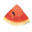 Sliced Watermelon Set 6 Pieces