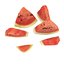 Sliced Watermelon Set 6 Pieces