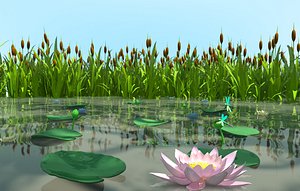 Swamp Plants