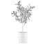 Grande ficus lyrata em vaso de flores moderno