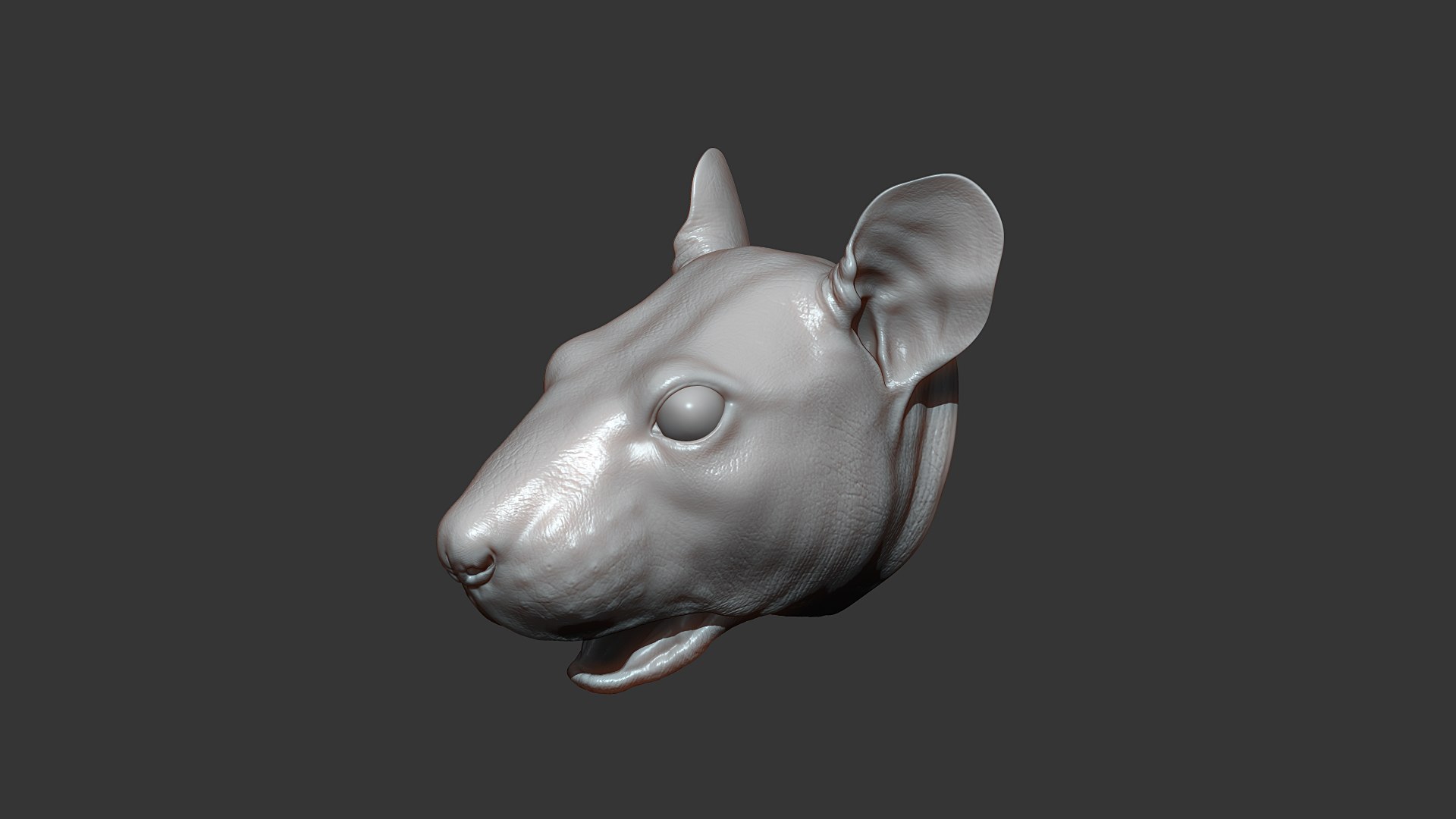 3D Rat Head Highpoly Sculpt Model - TurboSquid 1809933