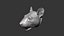 Rat Head Highpoly Sculpt