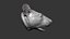Rat Head Highpoly Sculpt