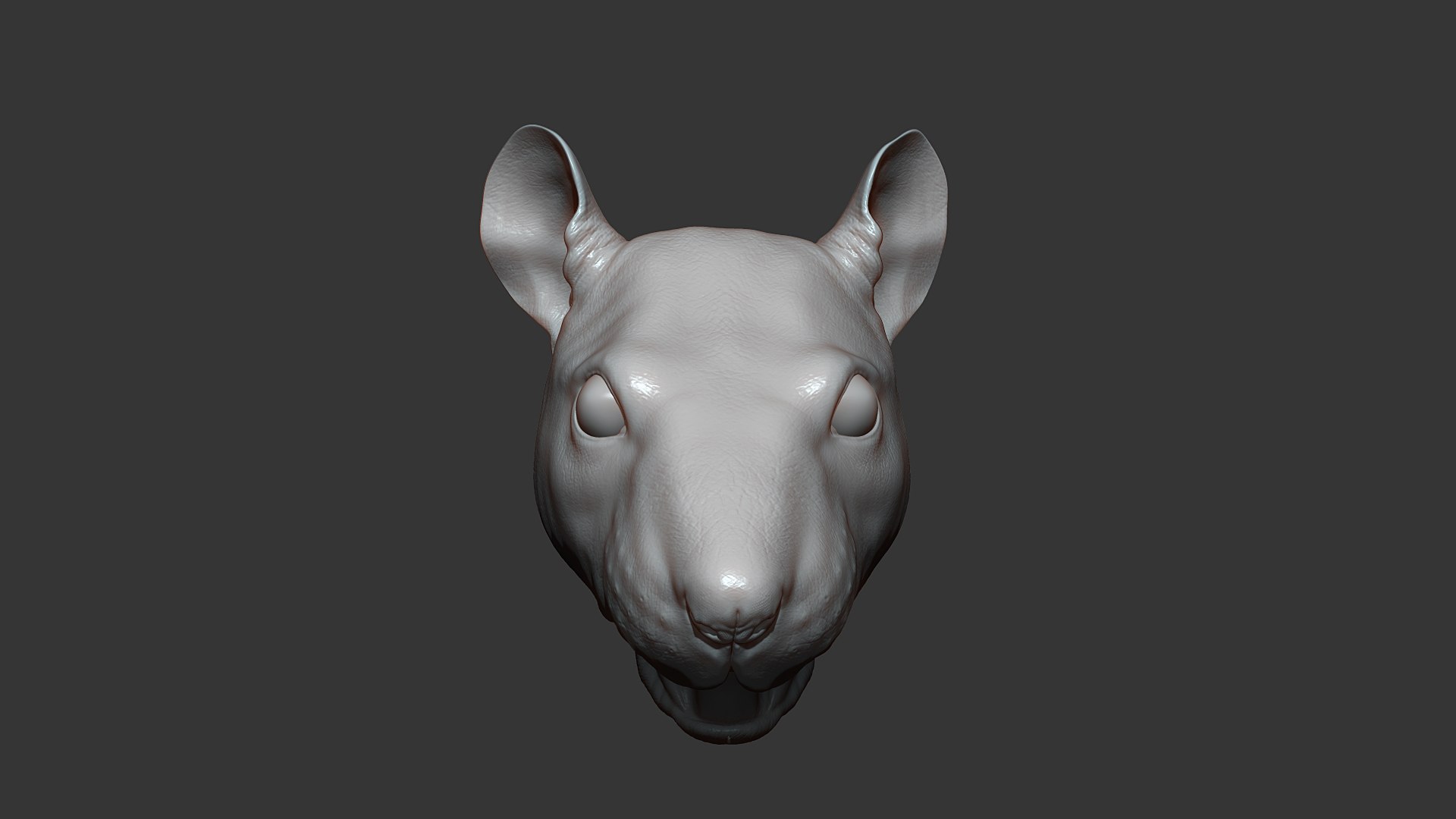 3D Rat Head Highpoly Sculpt Model - TurboSquid 1809933