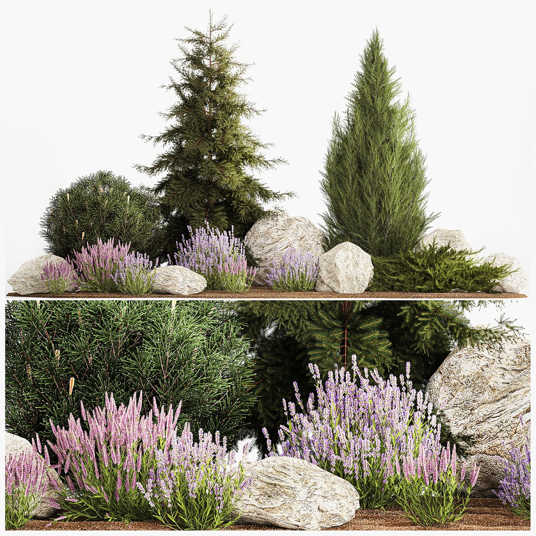 3D Alpine Slide With Thuja Spruce Lavender Bushes And Stones 1195 Model -  TurboSquid 2028370