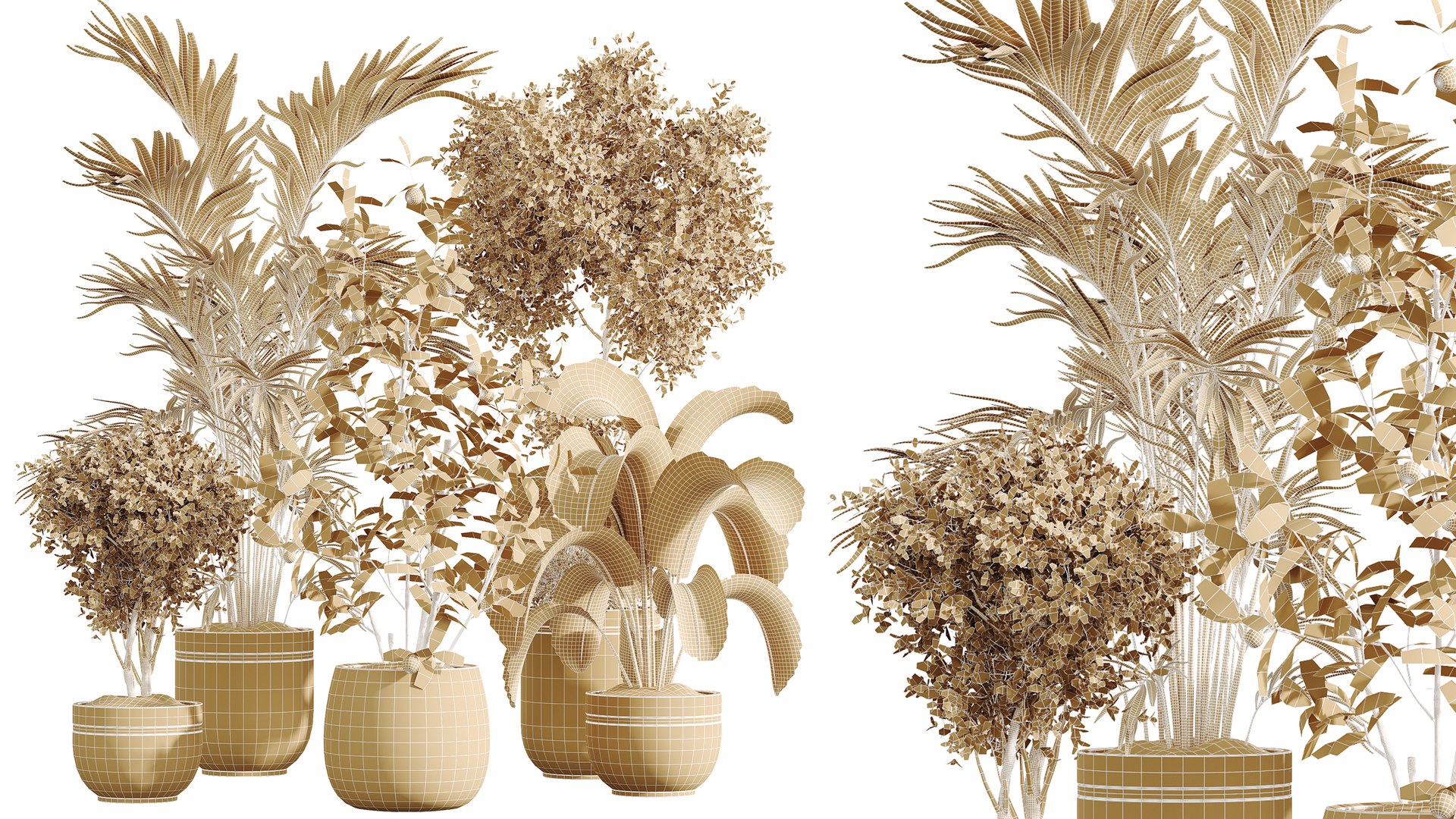 AV Indoor Plants Set 547 Banana Olive China Orange Tree Cat Reed Palm 3D model https://p.turbosquid.com/ts-thumb/CS/5XMutB/DZ/07/png/1793185800/1920x1080/fit_q87/d6b50de637e5e0855b81e4c9ed11b0f3a02c2ebd/07.jpg