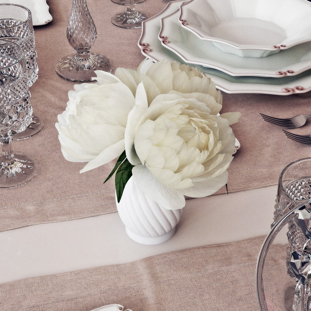 Table Setting 11 3D model https://p.turbosquid.com/ts-thumb/CS/7kxXih/Zj/pr_05/jpg/1617709574/1920x1080/fit_q87/61740e4f749fcbe987f97e74785473588ce827ec/pr_05.jpg