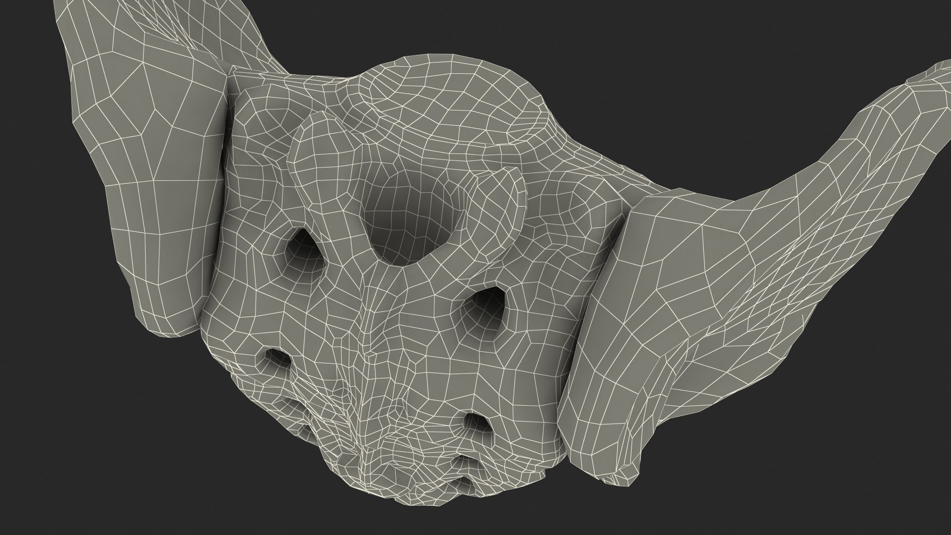 3D Human Male Pelvis Anatomy https://p.turbosquid.com/ts-thumb/CS/9x7FlV/6O/human_male_pelvis_anatomy_022/jpg/1743497737/1920x1080/fit_q87/391c28dabee420a6fdec6138c49ab9c442a4c1d9/human_male_pelvis_anatomy_022.jpg