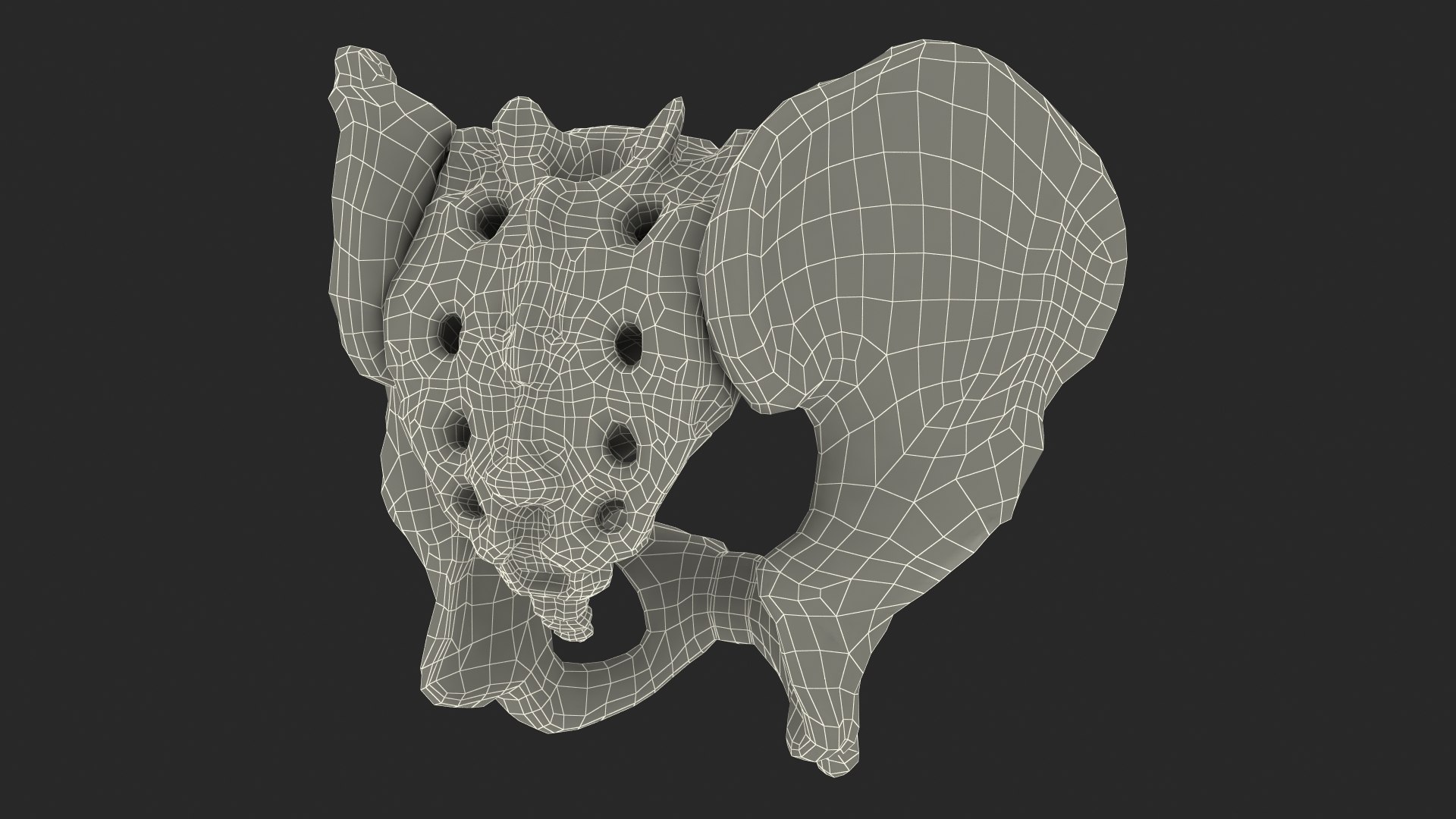 3D Human Male Pelvis Anatomy https://p.turbosquid.com/ts-thumb/CS/9x7FlV/bE/human_male_pelvis_anatomy_020/jpg/1743497727/1920x1080/fit_q87/d370205e792417611f55dd24c601467a16cdb688/human_male_pelvis_anatomy_020.jpg
