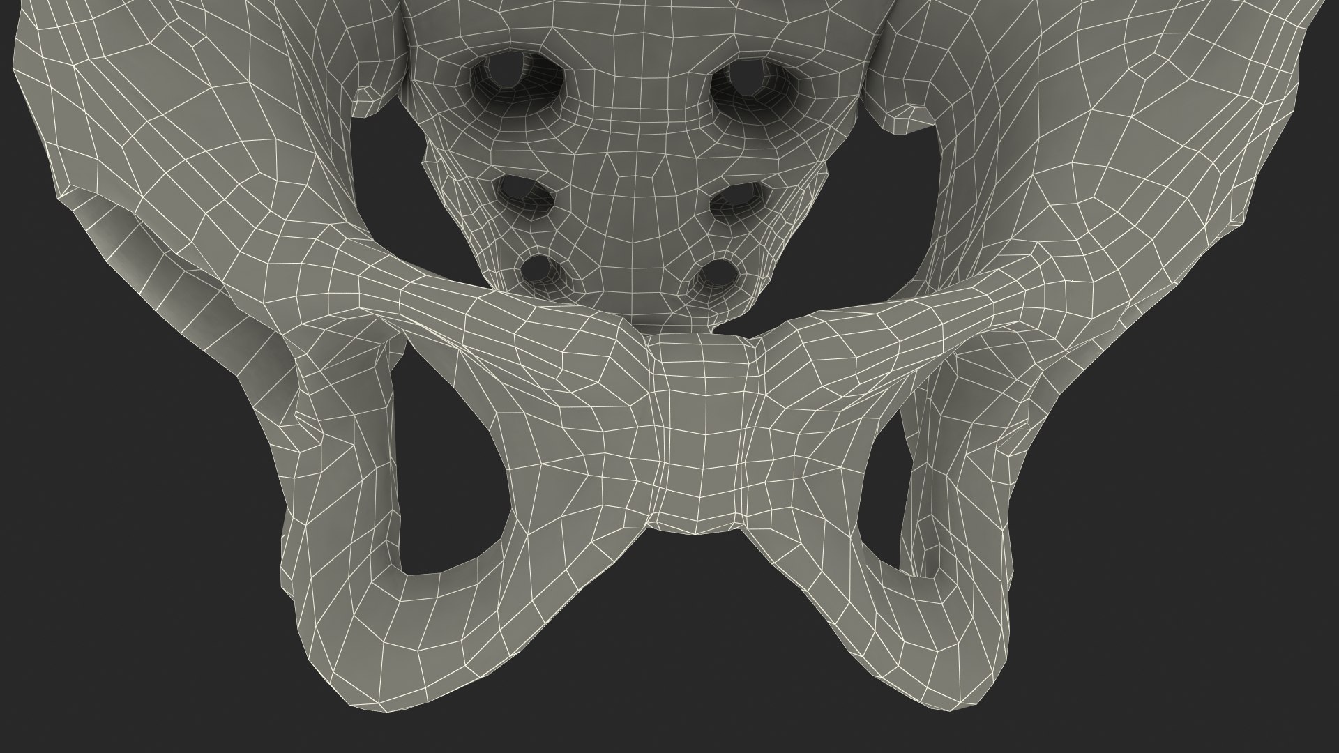 3D Human Male Pelvis Anatomy https://p.turbosquid.com/ts-thumb/CS/9x7FlV/l1/human_male_pelvis_anatomy_021/jpg/1743497732/1920x1080/fit_q87/80b68901b2b61e25816a865bdf4198a5411643e9/human_male_pelvis_anatomy_021.jpg