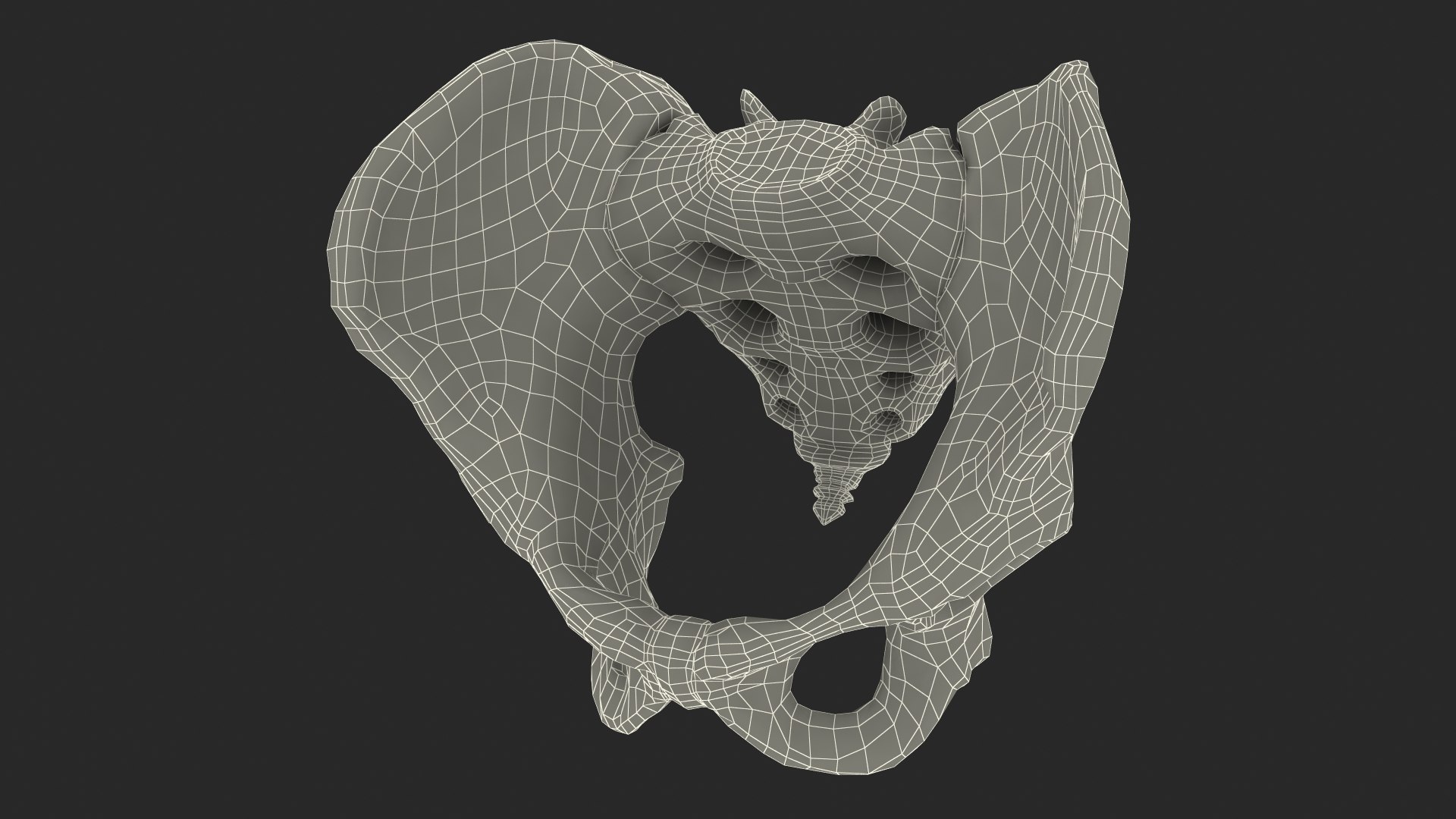 3D Human Male Pelvis Anatomy https://p.turbosquid.com/ts-thumb/CS/9x7FlV/og/human_male_pelvis_anatomy_019/jpg/1743497722/1920x1080/fit_q87/ed986103e4943bd5720ca25ff8728ac9bc24f071/human_male_pelvis_anatomy_019.jpg