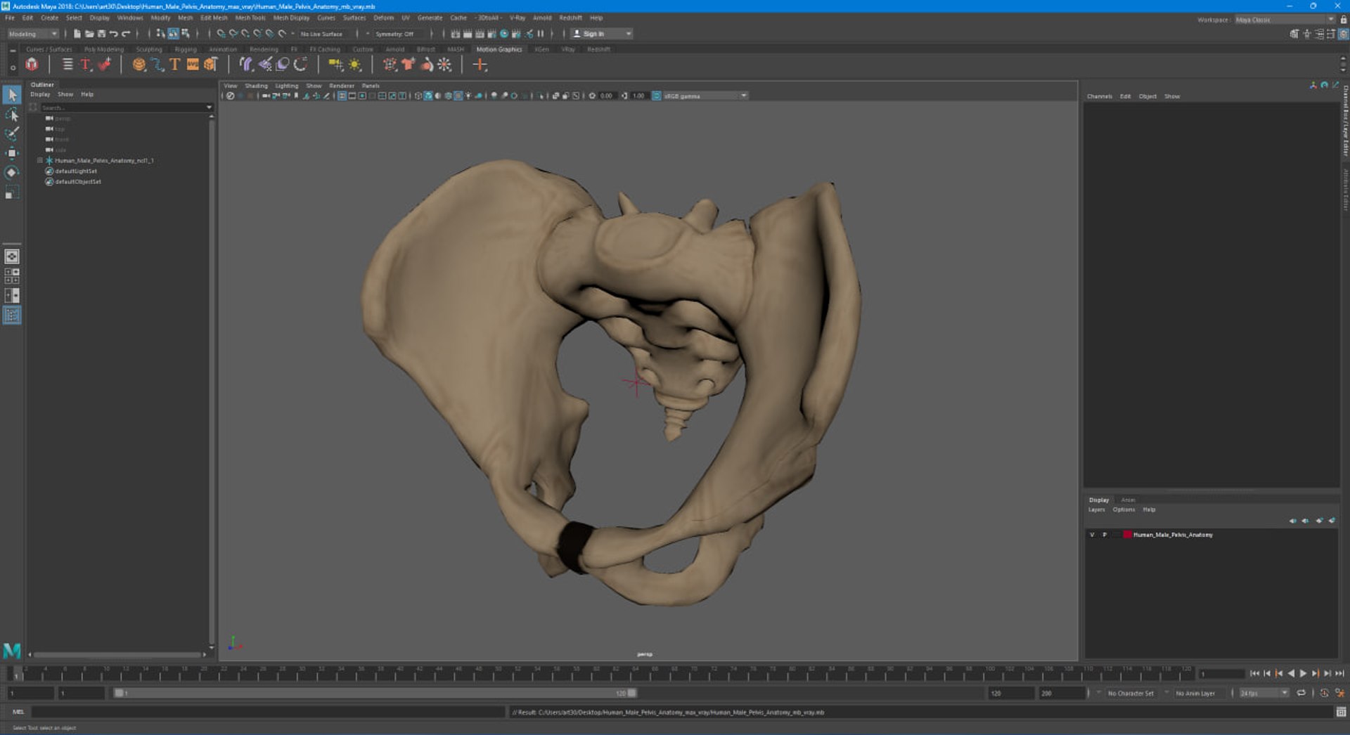 3D Human Male Pelvis Anatomy https://p.turbosquid.com/ts-thumb/CS/9x7FlV/tZ/human_male_pelvis_anatomy_1002/jpg/1743497746/1920x1080/fit_q87/ad8b79e54e5360d6b70008a32cbaf7b88d8f11de/human_male_pelvis_anatomy_1002.jpg