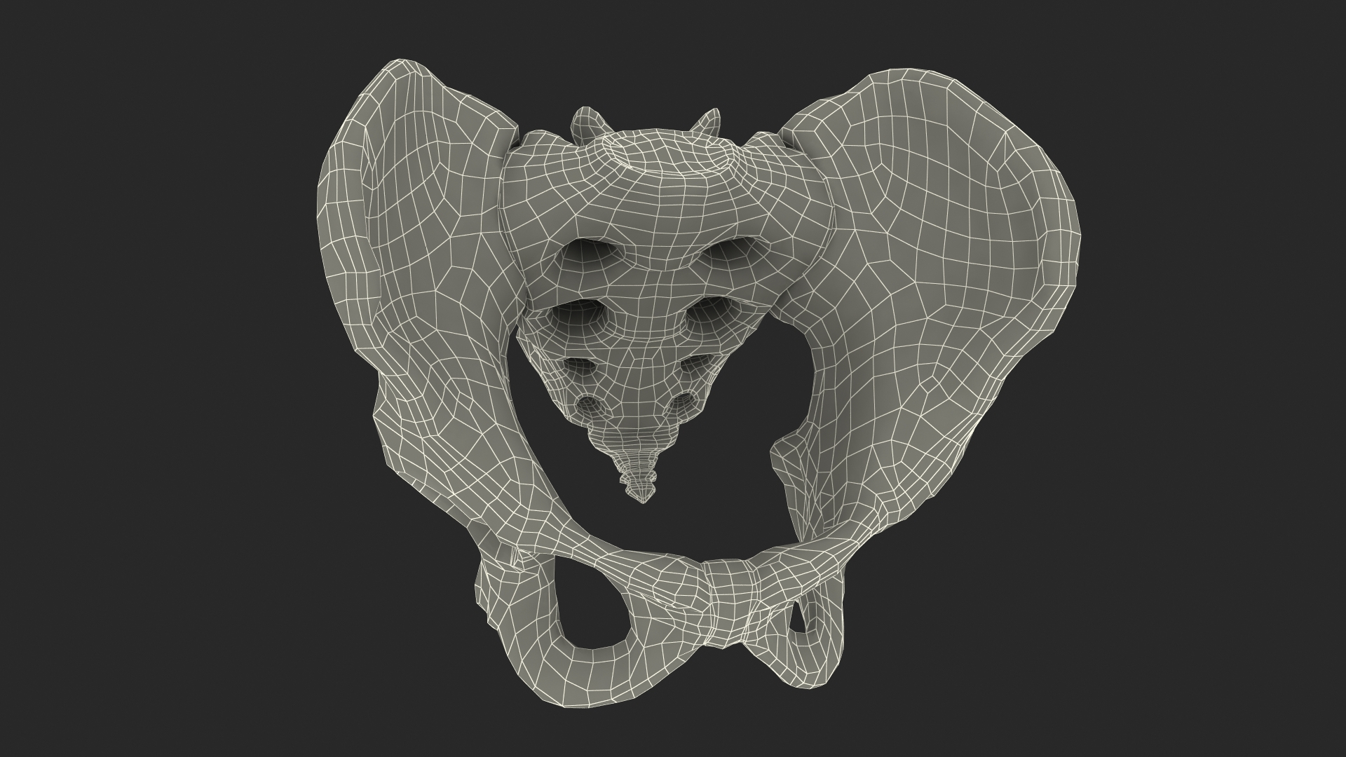 3D Human Male Pelvis Anatomy https://p.turbosquid.com/ts-thumb/CS/9x7FlV/ud/human_male_pelvis_anatomy_361/jpg/1743497508/1920x1080/turn_fit_q99/60bc6e7589ede0223348e47ae1253b07cd3eabdc/human_male_pelvis_anatomy_361-1.jpg