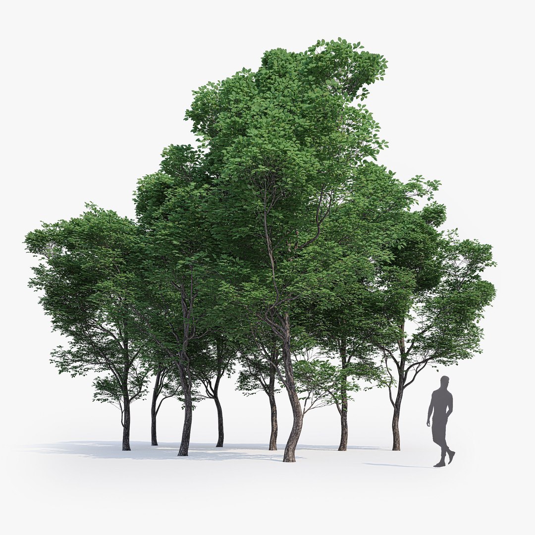 max generic tree 01 https://p.turbosquid.com/ts-thumb/CS/GdFivn/GBINHW1b/ts_gw_generictree_preview_10/jpg/1485035839/1920x1080/fit_q87/9d1ca80e653cccbf759b65ef94ea1c680bd0308d/ts_gw_generictree_preview_10.jpg