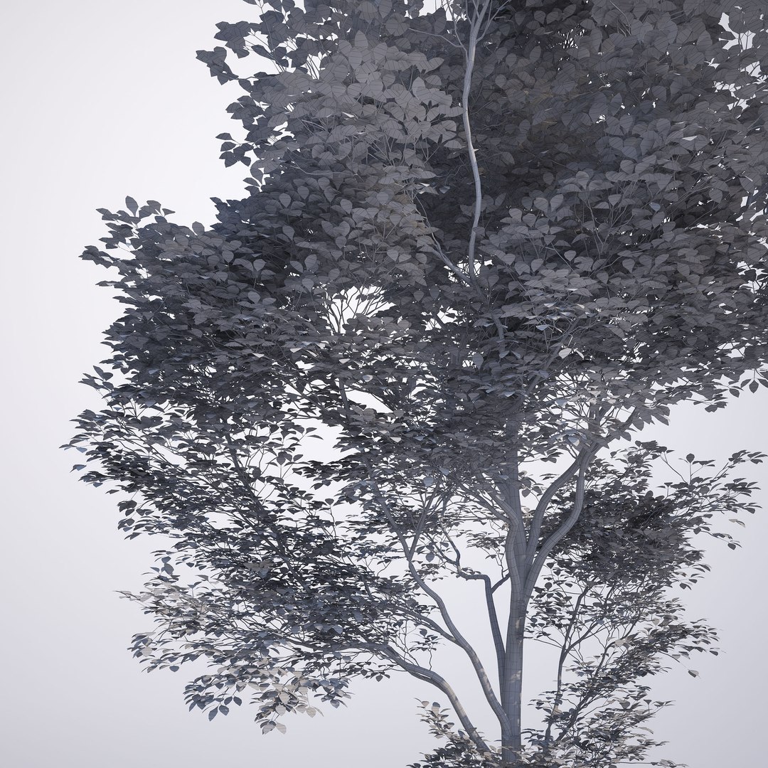 max generic tree 01 https://p.turbosquid.com/ts-thumb/CS/GdFivn/UQ7Wuo0O/ts_gw_generictree_preview_09/jpg/1485035838/1920x1080/fit_q87/4d9aded2ddc8c53ff4d93526b6d5352502f2e9e2/ts_gw_generictree_preview_09.jpg