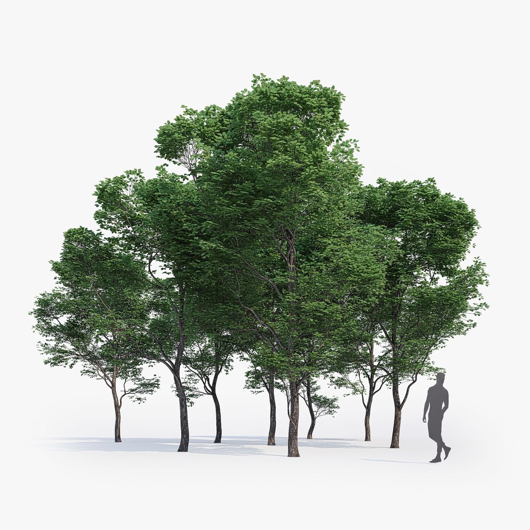 max generic tree 01 https://p.turbosquid.com/ts-thumb/CS/GdFivn/wUOe7RS4/ts_gw_generictree_preview_00/jpg/1485035838/1920x1080/fit_q87/482dbbb855176dc3c6045c83ef79d68085421e62/ts_gw_generictree_preview_00.jpg