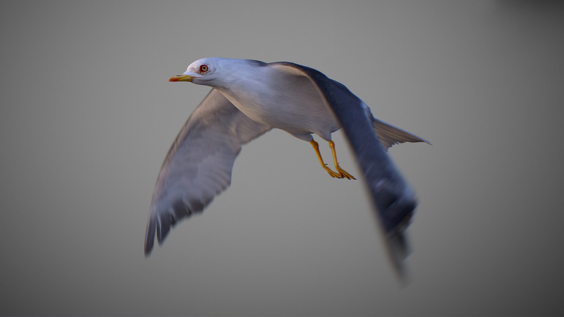 Animated Seagull model https://p.turbosquid.com/ts-thumb/CS/MhFgfI/9o/untitled1_0014_seagull_14/jpg/1789547739/1920x1080/fit_q87/ba69f3f3f753d3d432dec8f871622fd2f6753aba/untitled1_0014_seagull_14.jpg