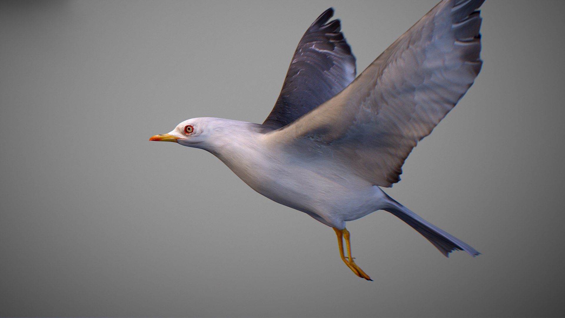 Animated Seagull model https://p.turbosquid.com/ts-thumb/CS/MhFgfI/Ai/untitled1_0009_seagull_19/jpg/1789547736/1920x1080/fit_q87/ac563cb8d8f95239b6b9f52d09346165db09f88b/untitled1_0009_seagull_19.jpg