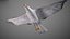 Animated Seagull