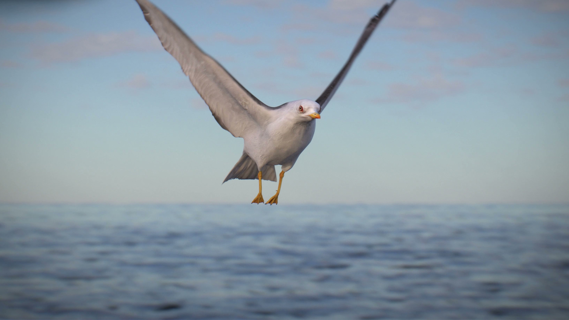 Animated Seagull model https://p.turbosquid.com/ts-thumb/CS/MhFgfI/Dr/capture/jpg/1789547822/1920x1080/turn_fit_q99/14004a44a8741510c42b61135c2ce0efac66aba4/capture-1.jpg