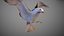 Animated Seagull