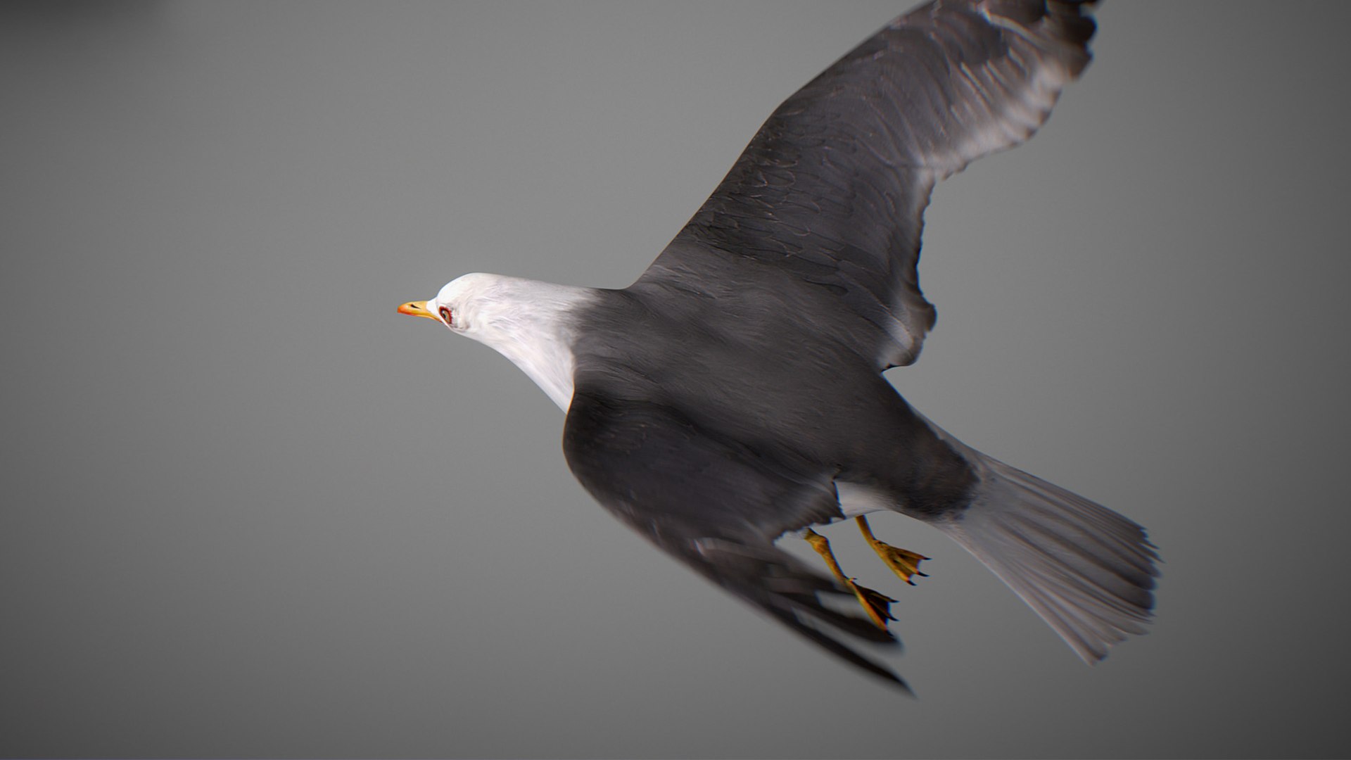 Animated Seagull model https://p.turbosquid.com/ts-thumb/CS/MhFgfI/JB/untitled1_0001_seagull_27/jpg/1789547733/1920x1080/fit_q87/e8f2780fae427f7b10df213ded7c63931736ddda/untitled1_0001_seagull_27.jpg