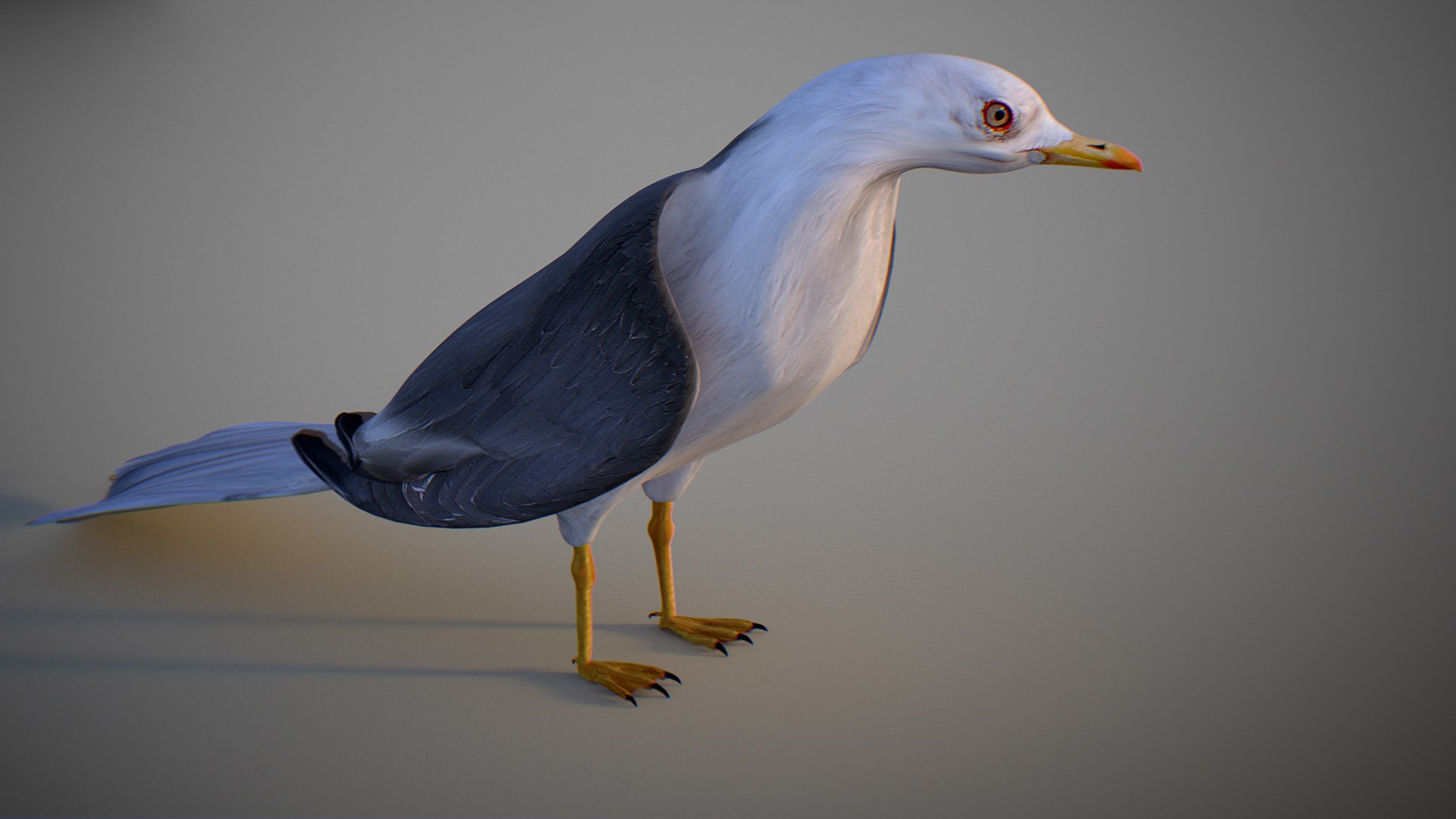 Animated Seagull model https://p.turbosquid.com/ts-thumb/CS/MhFgfI/Jn/untitled1_0023_seagull_07/jpg/1789547744/1920x1080/fit_q87/76eba51bac9df921f9dc3fe0aa1c7a129fe0788e/untitled1_0023_seagull_07.jpg