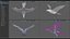 Animated Seagull