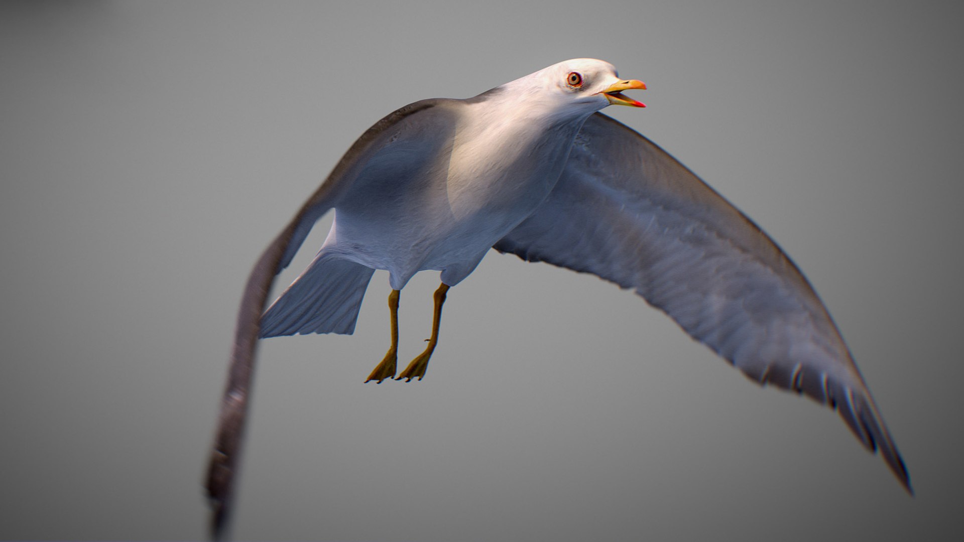 Animated Seagull model https://p.turbosquid.com/ts-thumb/CS/MhFgfI/R8/untitled1_0026_seagull_04/jpg/1789547746/1920x1080/fit_q87/37c4dc24a8dfb9b6b1fabc222748ed8f0559d1bf/untitled1_0026_seagull_04.jpg