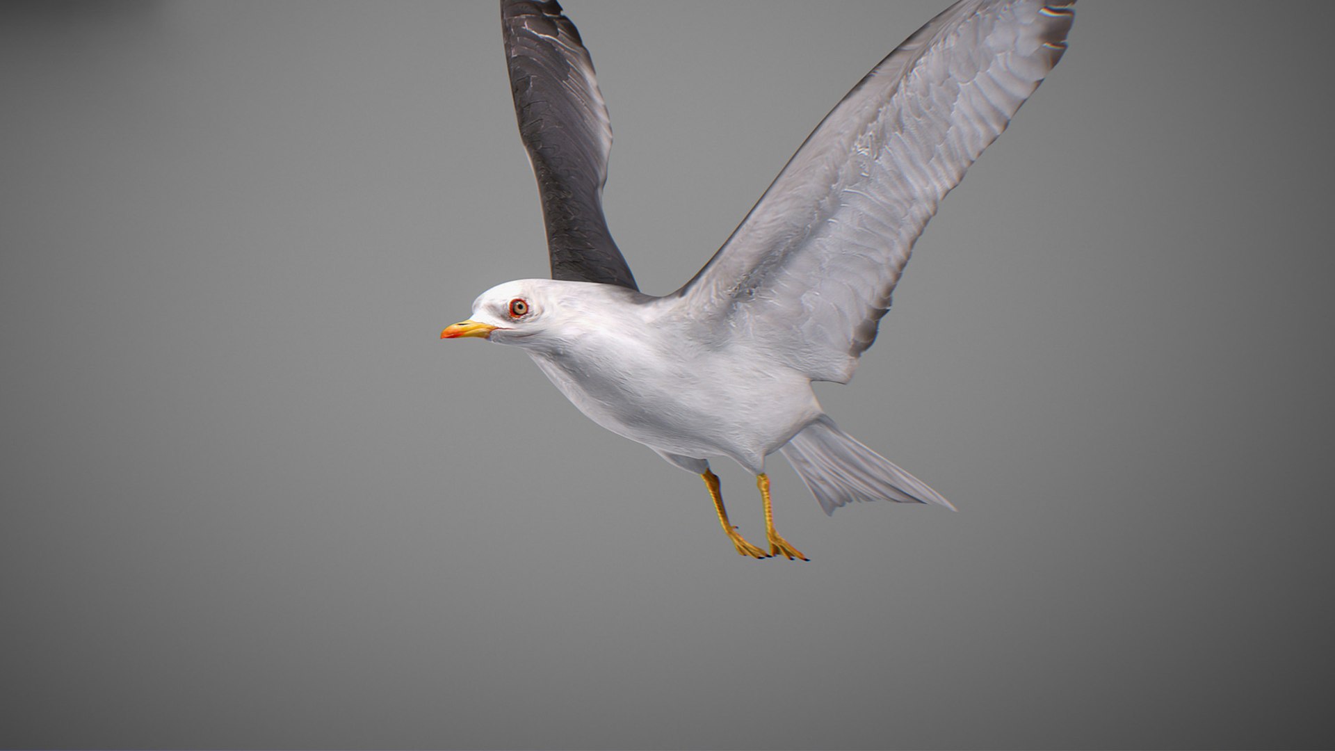 Animated Seagull model https://p.turbosquid.com/ts-thumb/CS/MhFgfI/Sp/untitled1_0005_seagull_23/jpg/1789547734/1920x1080/fit_q87/258ec4205fd27fe935c51430629da53511bceb5f/untitled1_0005_seagull_23.jpg