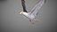 Animated Seagull