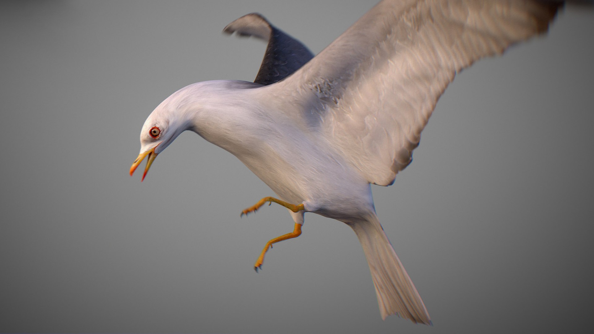Animated Seagull model https://p.turbosquid.com/ts-thumb/CS/MhFgfI/Td/untitled1_0027_seagull_03/jpg/1789547746/1920x1080/fit_q87/cf88664c3e233b8708260526af3e9b9a51d73c55/untitled1_0027_seagull_03.jpg