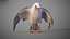 Animated Seagull