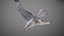 Animated Seagull