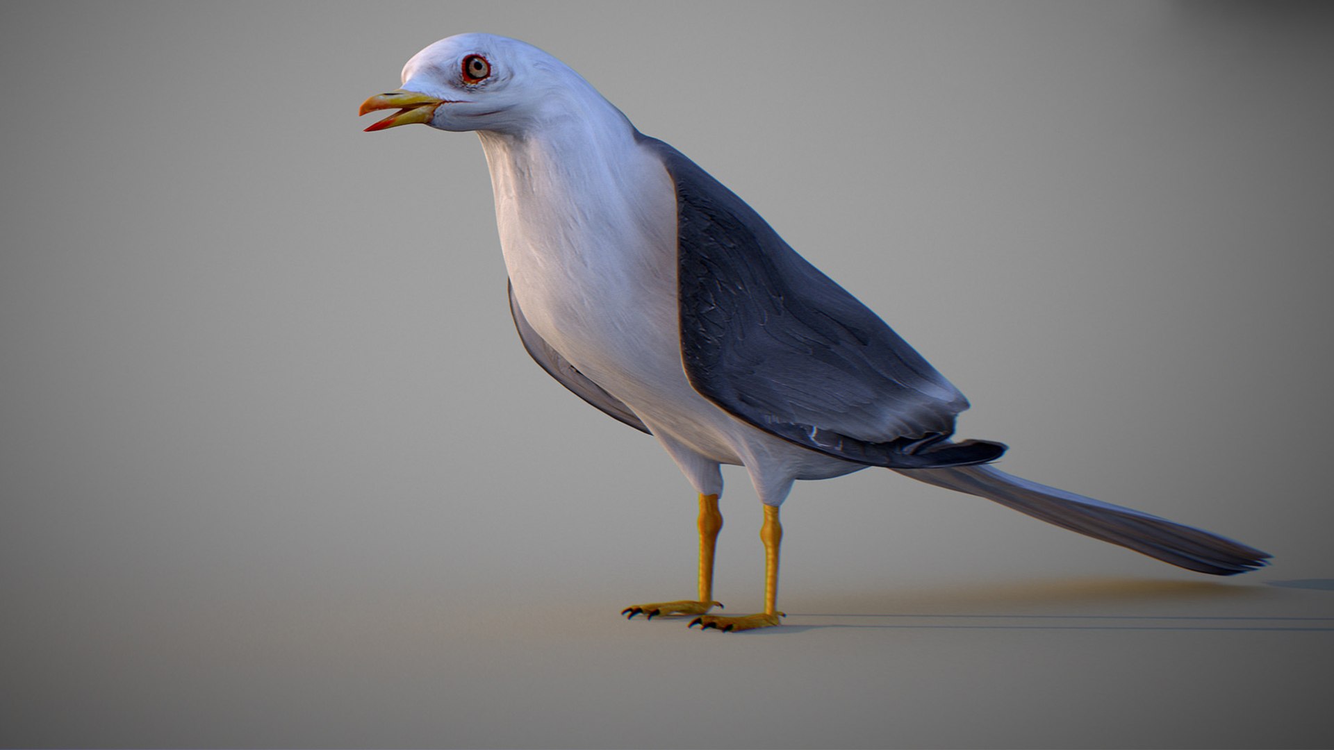 Animated Seagull model https://p.turbosquid.com/ts-thumb/CS/MhFgfI/nj/untitled1_0008_seagull_20/jpg/1789547736/1920x1080/fit_q87/e5dba33fc32bb63aac04c555c6216143f6bc4901/untitled1_0008_seagull_20.jpg