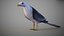 Animated Seagull
