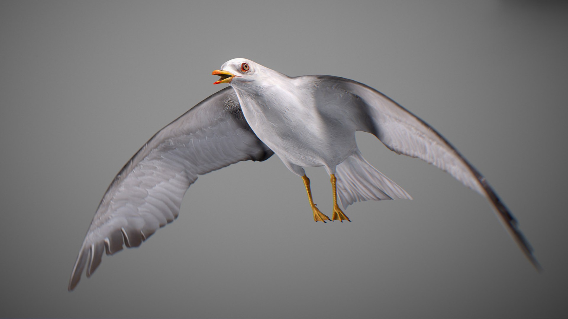 Animated Seagull model https://p.turbosquid.com/ts-thumb/CS/MhFgfI/sf/untitled1_0003_seagull_25/jpg/1789547733/1920x1080/fit_q87/7b7383cd3e3329261aae24d353d86017502f4294/untitled1_0003_seagull_25.jpg