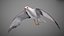 Animated Seagull